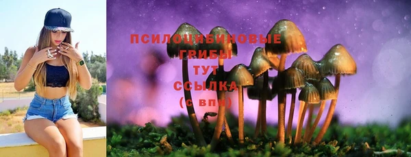эйфоретик Каменск-Шахтинский